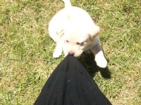 /album/fotos-recentes-/fotos-083-jpg/